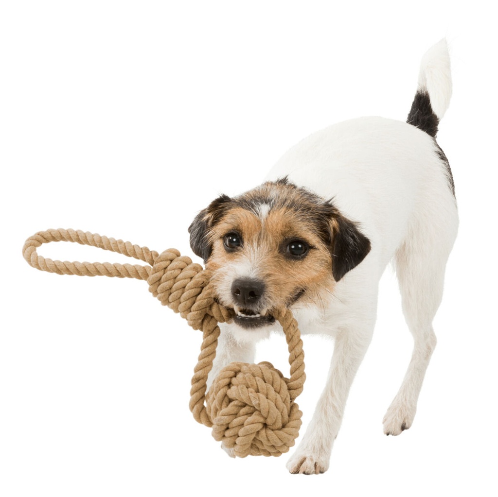 PHO_PRO_DOG_CLIP_32632-32633-1_#SALL_#AWK_#V1.jpg