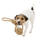 PHO_PRO_DOG_CLIP_32632-32633-1_#SALL_#AWK_#V1.jpg
