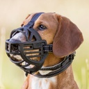 PHO_IMAGE_DOG_Mischling-Bootsmann-Maulkorb-Wiese-7_#SALL_#AWK_#V1.jpg
