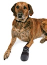 PHO_PRO_DOG_CLIP_1949-1955-1956-1957-1958-1959-1_#SALL_#AWK_#V2.jpg