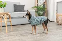 PHO_IMAGE_DOG_Pinscher-Tobi-Pullover-CityStyle-Berlin-Wohnzimmer-3_#SALL_#AWK_#V1.webp