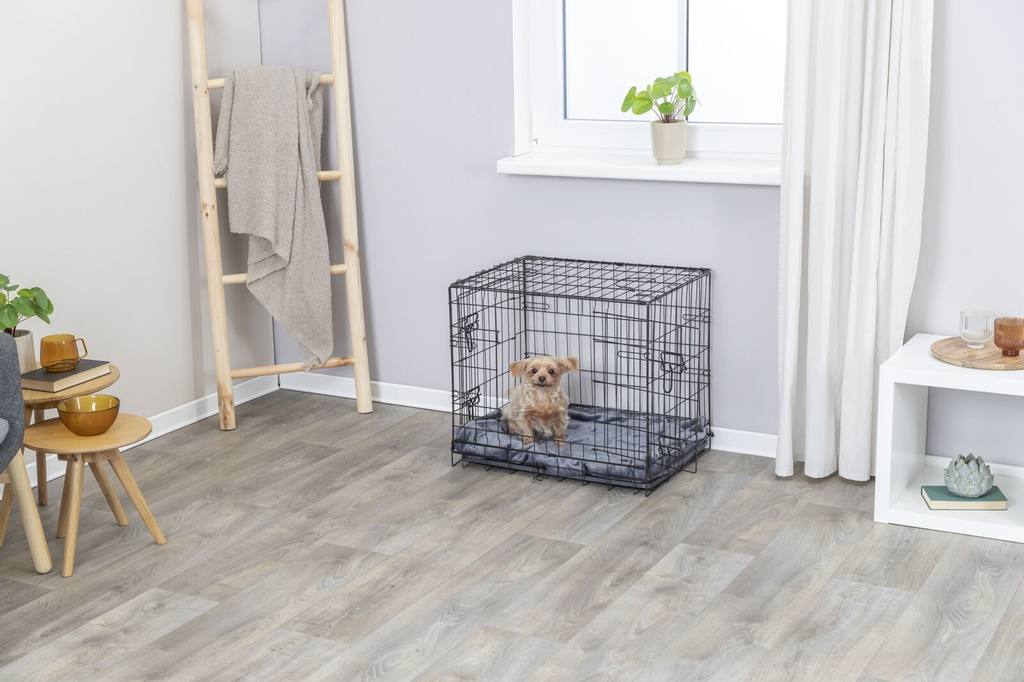 PHO_PRO_DOG_39301-1_#SALL_#AWK_#V1.jpg
