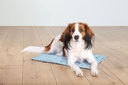 PHO_PRO_DOG_28776-28777-28778-28779-1_#SALL_#AWK_#V1.jpg
