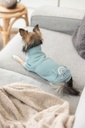 PHO_IMAGE_DOG_Chihuahua-Linda-Sweatshirt-Littleton-Wohnzimmer-3_#SALL_#AWK_#V1.jpg