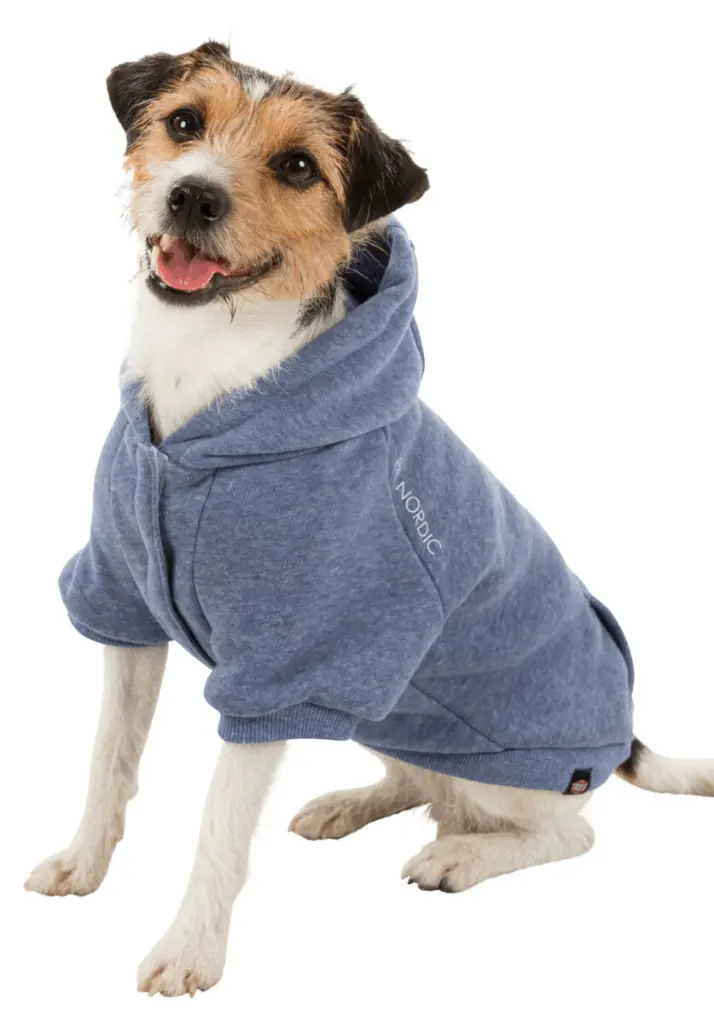 PHO_PRO_DOG_CLIP_67480-67489-1_#SALL_#AWK_#V1.webp