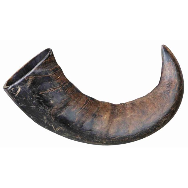 Corne à mâcher en véritable buffle Trixie, grande taille 