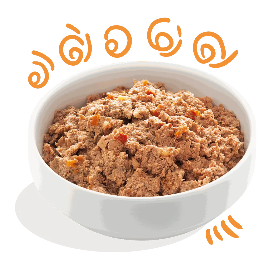 Product_-_Dog_Adult_Pat__Chicken_Turkey.webp