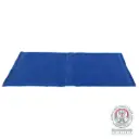 Matelas rafraîchissant bleu