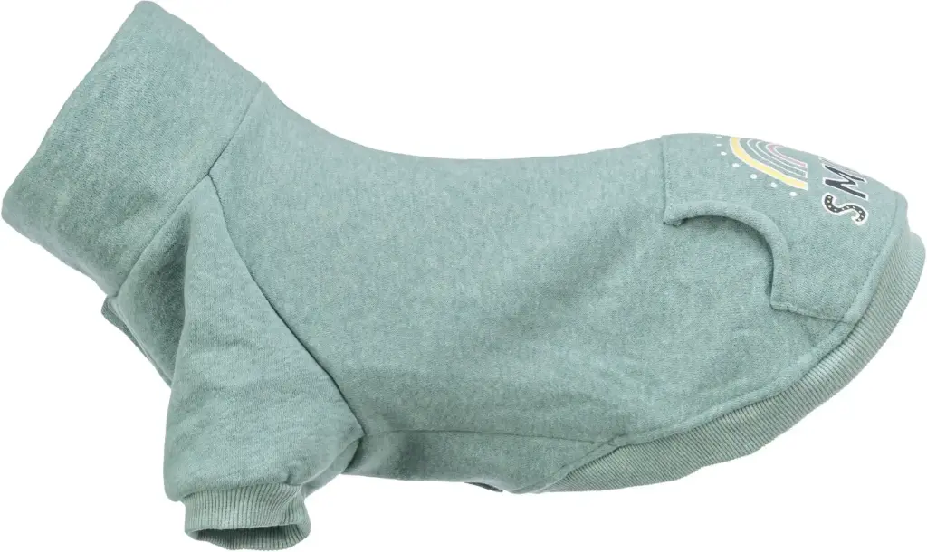 Sweat-shirt Littleton couleur menthe