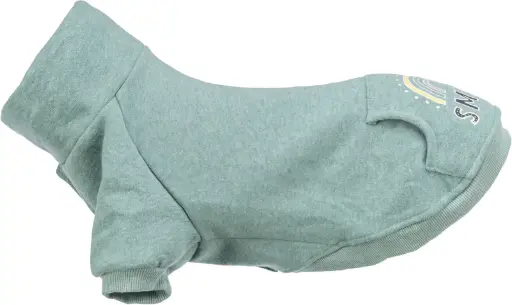 Sweat-shirt Littleton couleur menthe